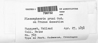Image Associated With the Occurence